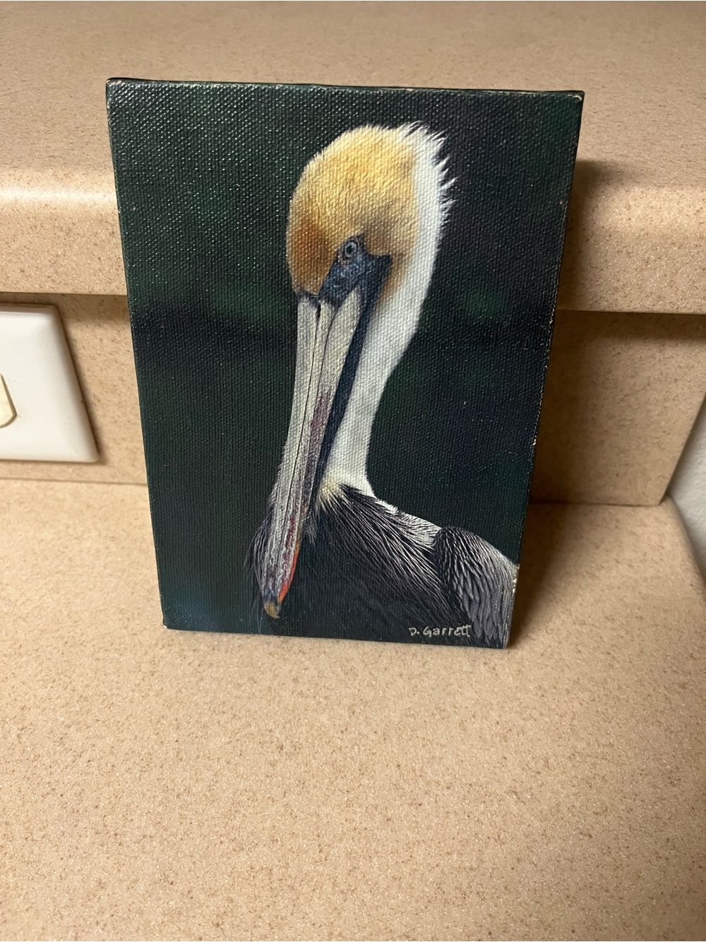 Pelican Bird Canvas Print Picture Wall Decor  by D. Garrett - Nautical Coastal